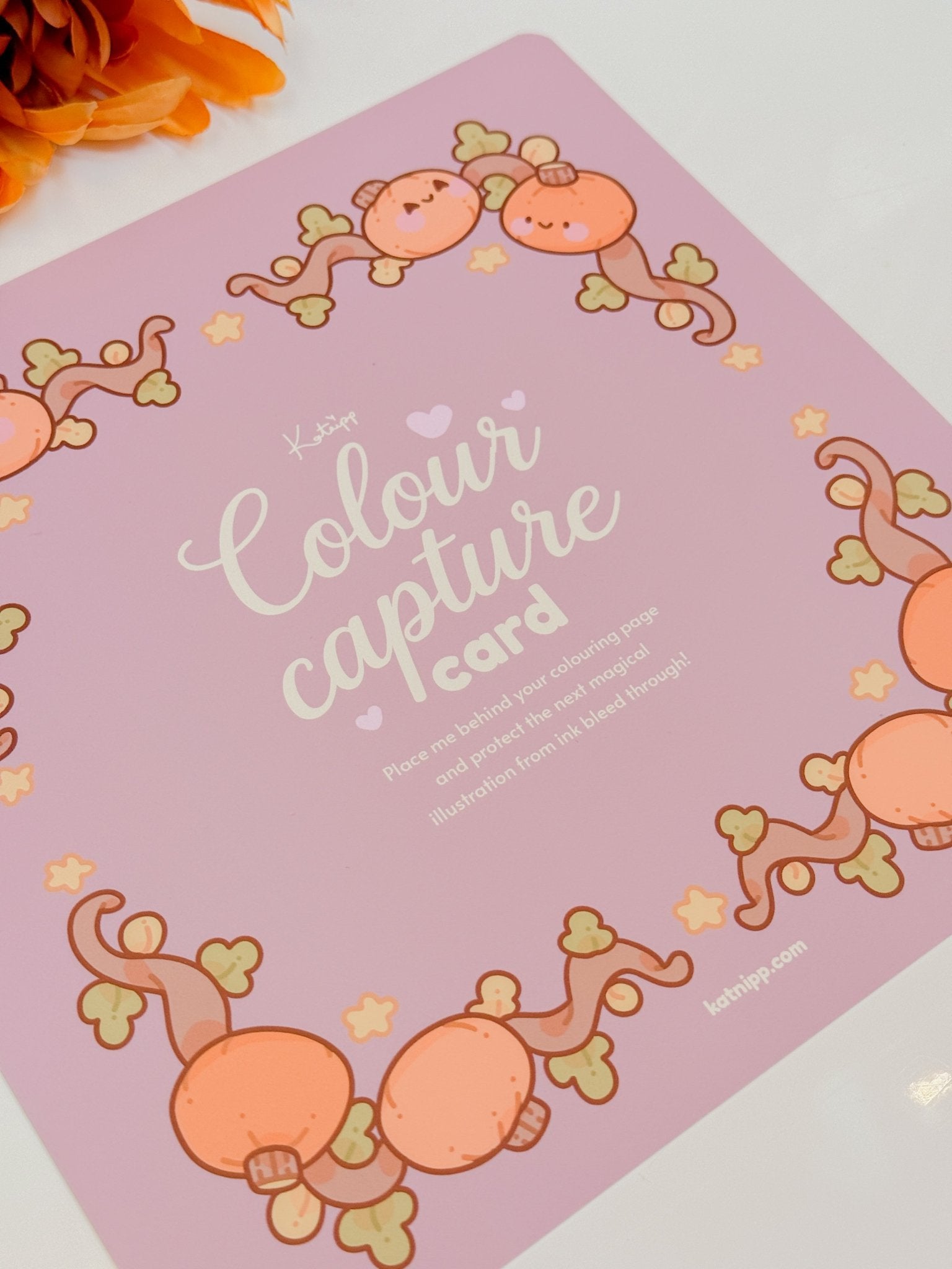 Autumn Colour Capture Card | Cute Colouring Book Page Protector | Katnipp Katnipp character product