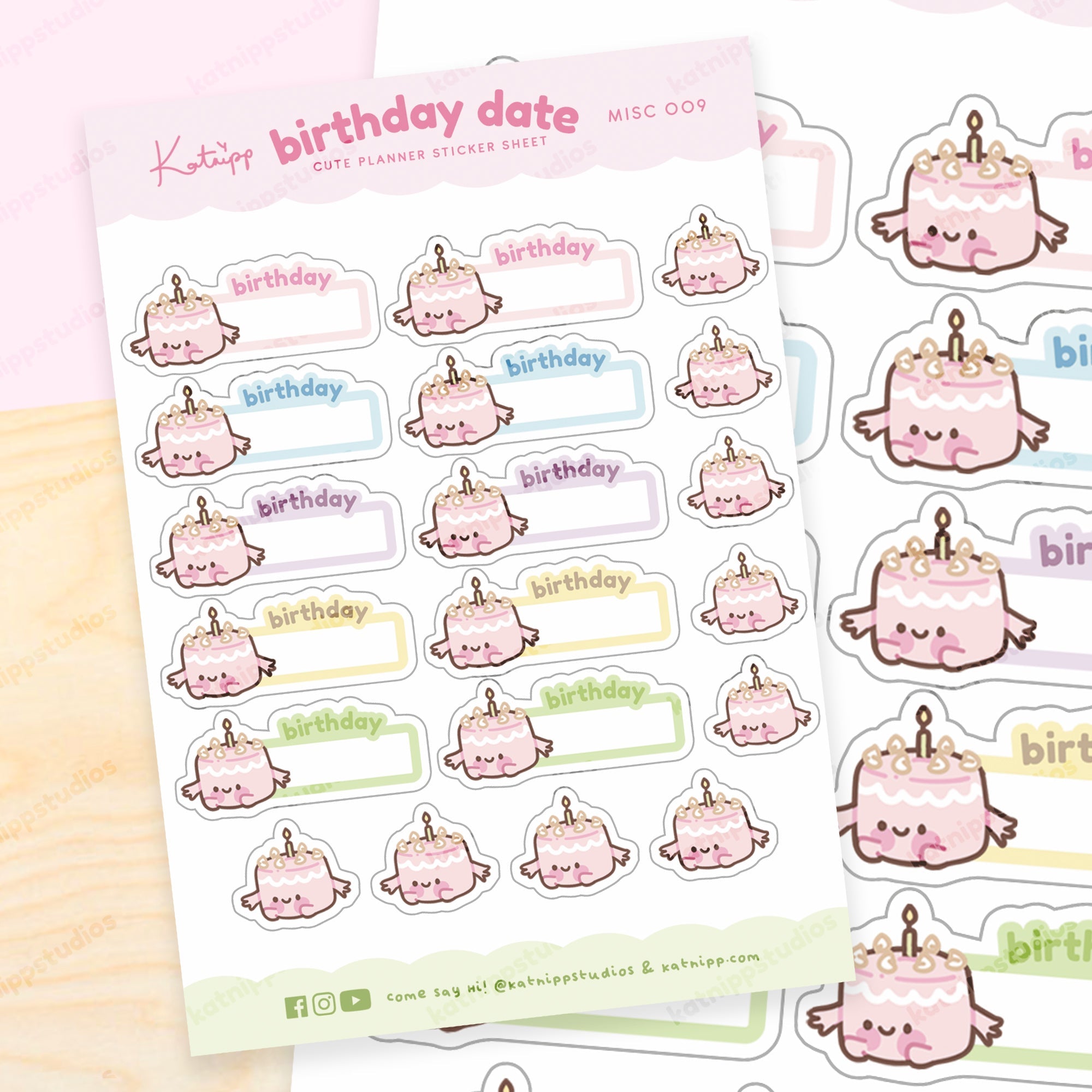 Birthday Reminder Sticker Sheet | A6 Cute Pastel Planner Stickers | MISC 009 Katnipp character product